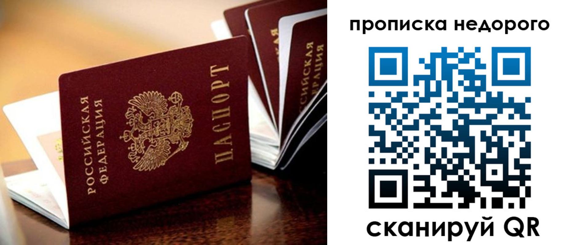 временная прописка в Королёве